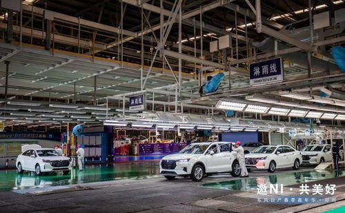 春涌綠城，潮趣煥新 東風日產鄭州春季嘉年華燃情啟幕